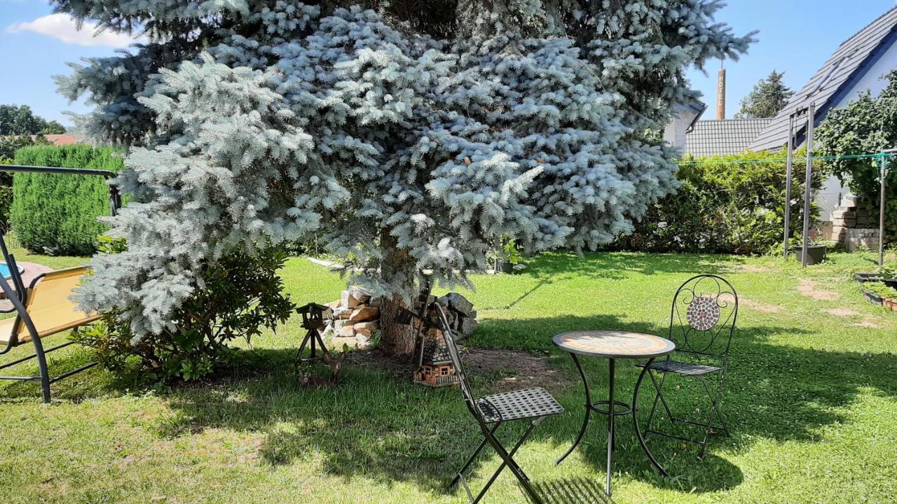 Ferienwohnung Koenig Niedergurig Bei Bautzen Malschwitz Esterno foto
